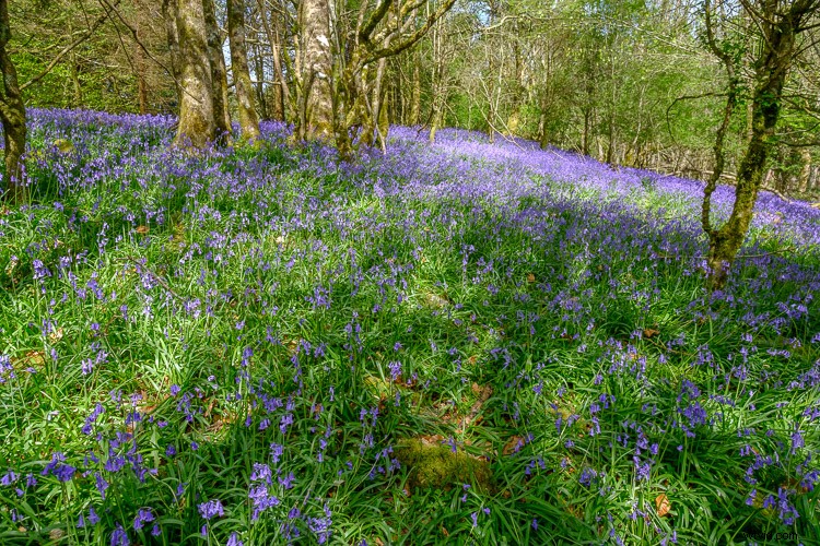 Top 5 Essential Lightroom Sliders for Pro-Level Photo Editing