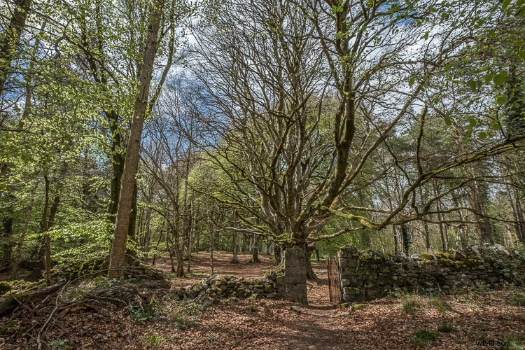 Top 5 Essential Lightroom Sliders for Pro-Level Photo Editing