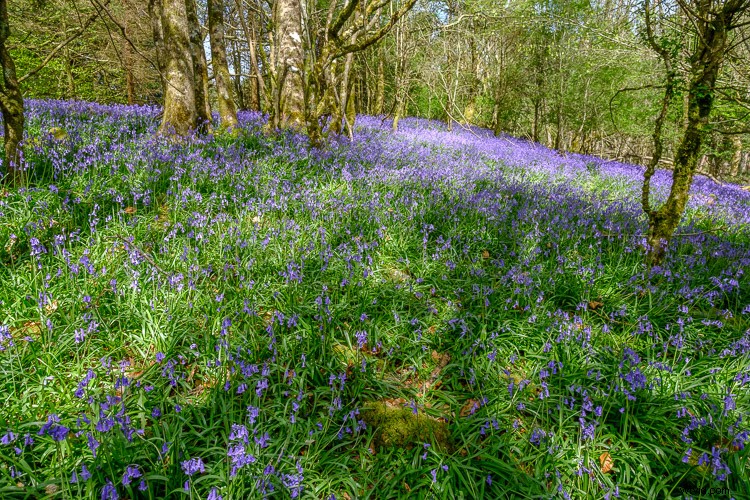 Top 5 Essential Lightroom Sliders for Pro-Level Photo Editing