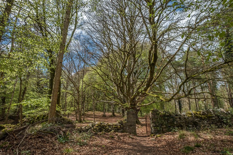 Top 5 Essential Lightroom Sliders for Pro-Level Photo Editing