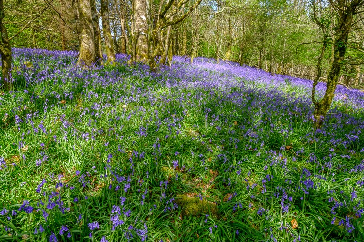 Top 5 Essential Lightroom Sliders for Pro-Level Photo Editing