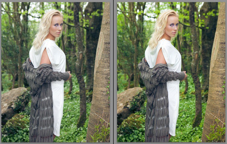 Top 5 Essential Lightroom Sliders for Pro-Level Photo Editing