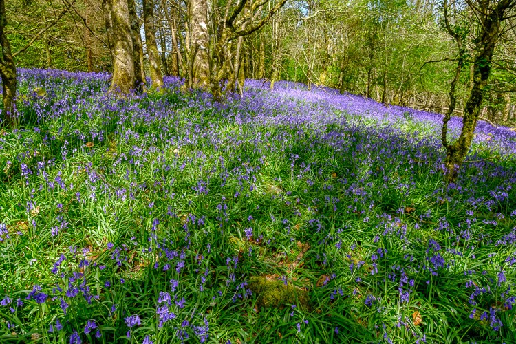 Top 5 Essential Lightroom Sliders for Pro-Level Photo Editing