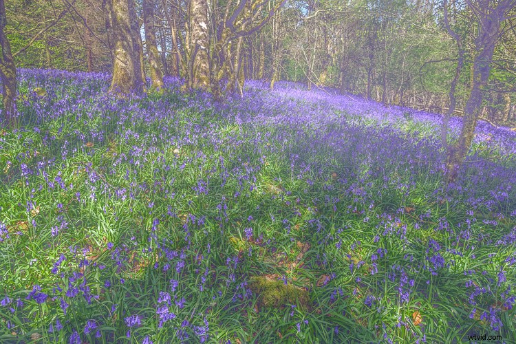 Top 5 Essential Lightroom Sliders for Pro-Level Photo Editing