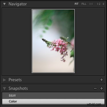 Master Lightroom Snapshots: 4 Powerful Ways to Boost Your Workflow