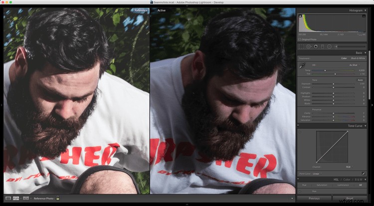 Master Consistent Image Edits in Lightroom: Using Reference View for Perfect Matching