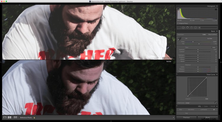 Master Consistent Image Edits in Lightroom: Using Reference View for Perfect Matching