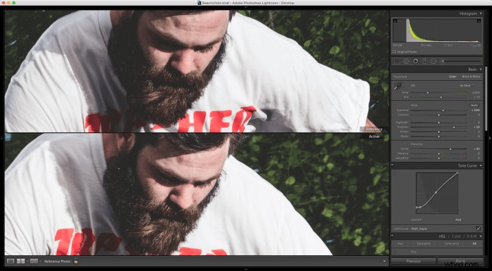 Master Consistent Image Edits in Lightroom: Using Reference View for Perfect Matching