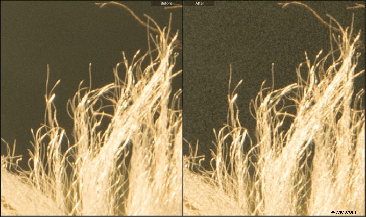 Master Creative Grain Effects in Lightroom: Pro Tips for Stunning Photos