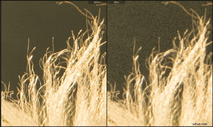 Master Creative Grain Effects in Lightroom: Pro Tips for Stunning Photos