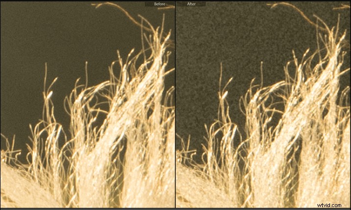 Master Creative Grain Effects in Lightroom: Pro Tips for Stunning Photos