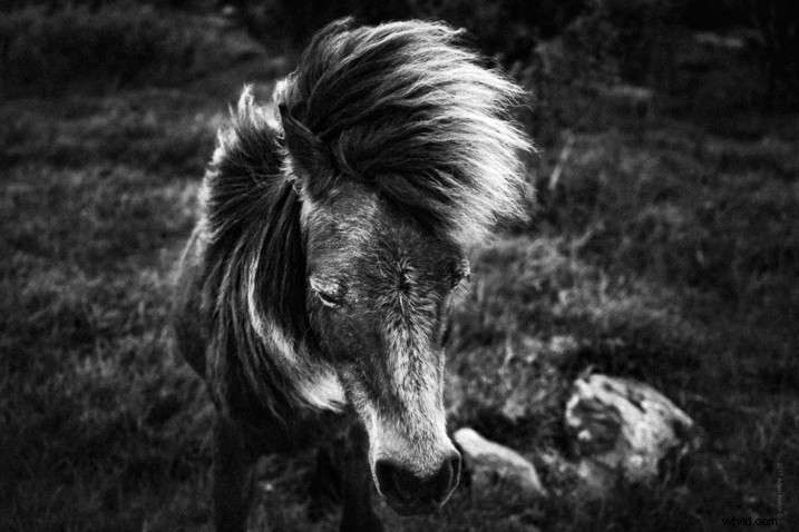 Master Creative Grain Effects in Lightroom: Pro Tips for Stunning Photos