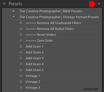 How to Create Custom Lightroom Develop Presets for Stunning Portraits