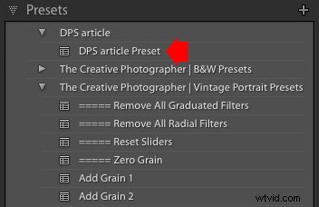 How to Create Custom Lightroom Develop Presets for Stunning Portraits