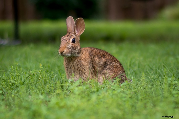 Master Lightroom s Auto Mask: Elevate Your Photos to Pro Level Effortlessly