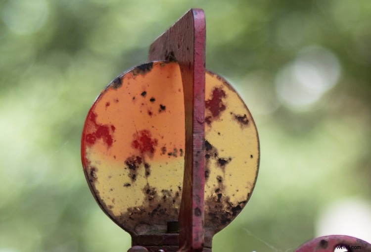 Master Lightroom s Auto Mask: Elevate Your Photos to Pro Level Effortlessly