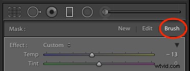 Master Lightroom s Auto Mask: Elevate Your Photos to Pro Level Effortlessly