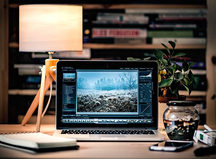 Photoshop vs. Lightroom: Which is Best for Beginner Photographers?