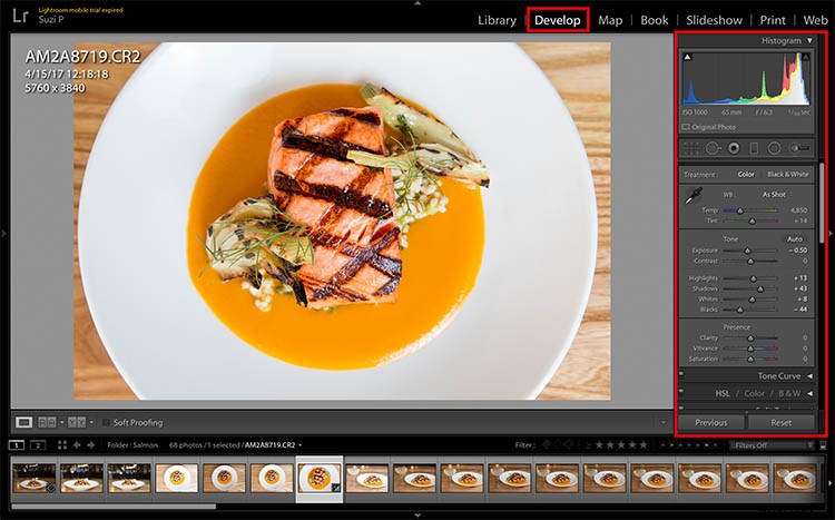 Photoshop vs. Lightroom: Which is Best for Beginner Photographers?