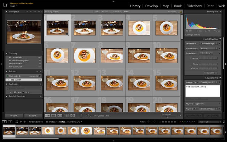 Photoshop vs. Lightroom: Which is Best for Beginner Photographers?