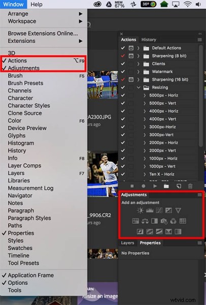 Photoshop vs. Lightroom: Which is Best for Beginner Photographers?