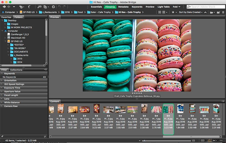 Photoshop vs. Lightroom: Which is Best for Beginner Photographers?