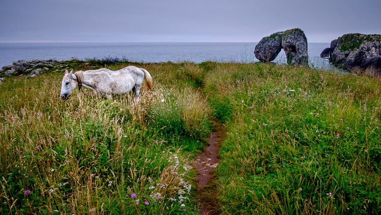 Lightroom Map Module Tutorial: Organize and Search Photos by Location Like a Pro