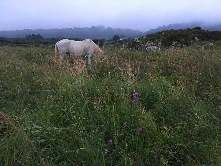 Lightroom Map Module Tutorial: Organize and Search Photos by Location Like a Pro