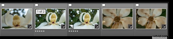 Master Lightroom Editing: Unlock the Power of History, Snapshots, and Virtual Copies