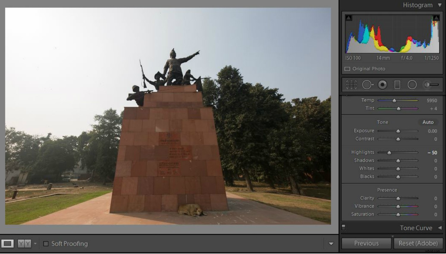 Master Lightroom: 5 Essential Tips & Tricks for Beginners