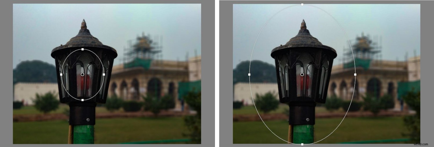 Master Lightroom: 5 Essential Tips & Tricks for Beginners