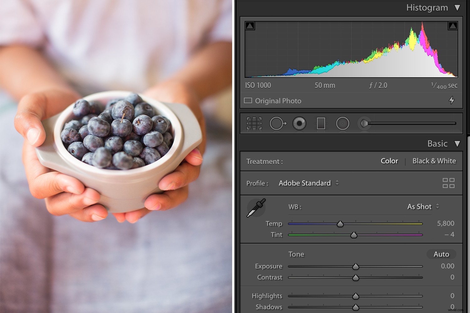 Master Color Adjustments with Tone Curves in Lightroom: Pro Tips & Techniques