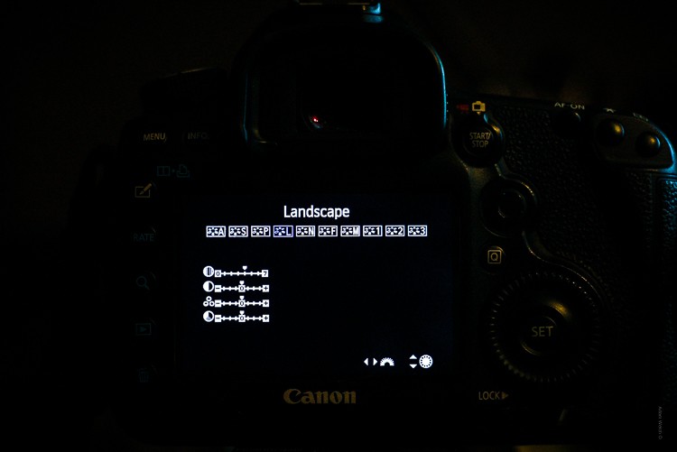Mastering Creative Profiles in Lightroom Classic CC: The Essential Guide