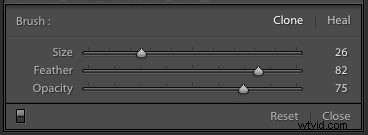 Master Photo Retouching: Lightroom Spot Removal Tool Guide