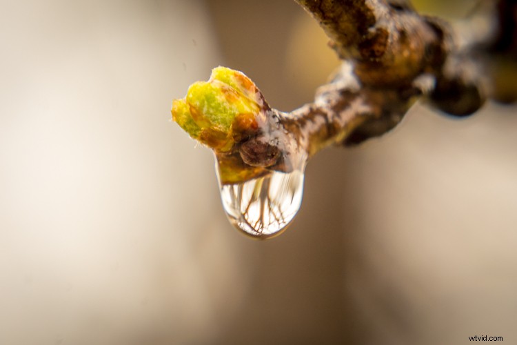 Master Photo Retouching: Lightroom Spot Removal Tool Guide