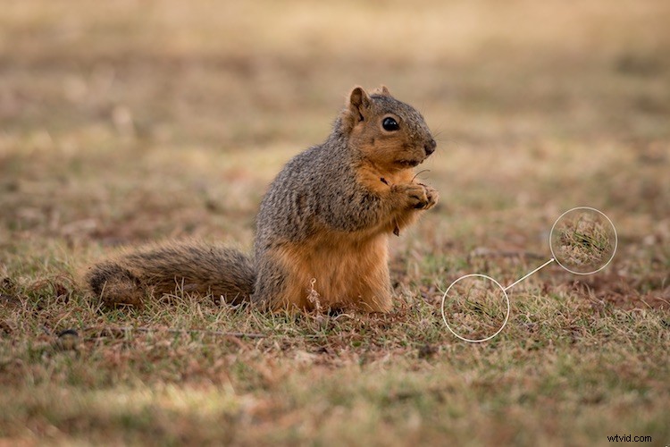 Master Photo Retouching: Lightroom Spot Removal Tool Guide