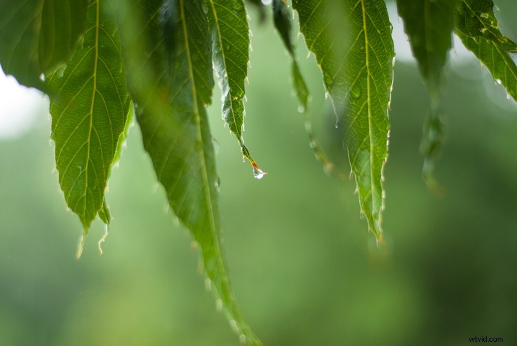 Master Photo Retouching: Lightroom Spot Removal Tool Guide