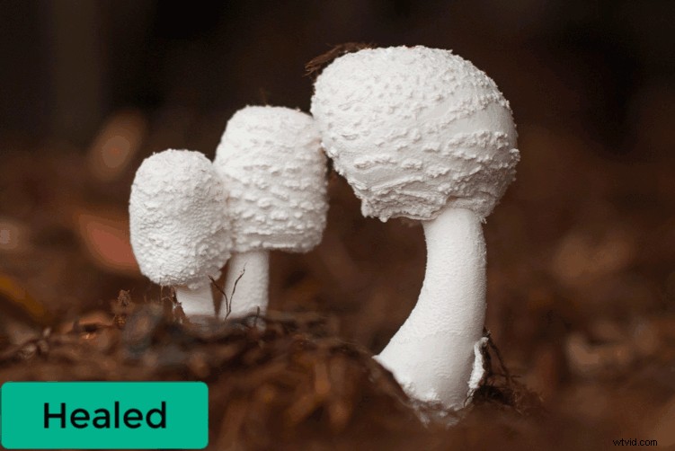 Master Photo Retouching: Lightroom Spot Removal Tool Guide