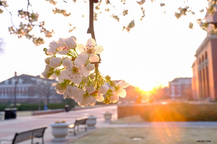 4 Expert Tips to Effortlessly Organize Photos in Lightroom