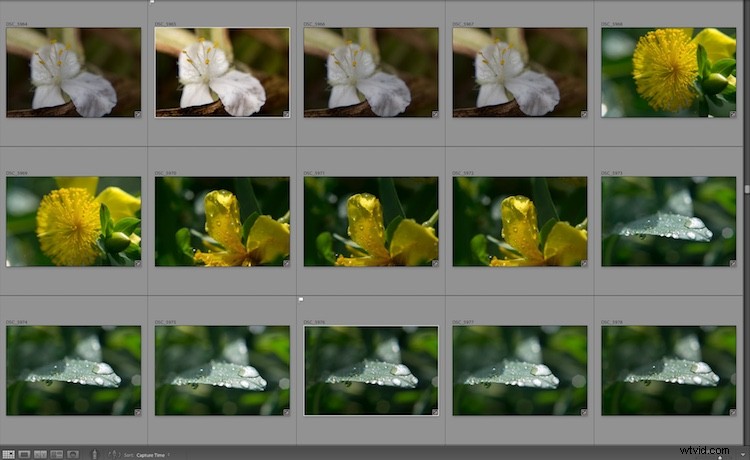 4 Expert Tips to Effortlessly Organize Photos in Lightroom