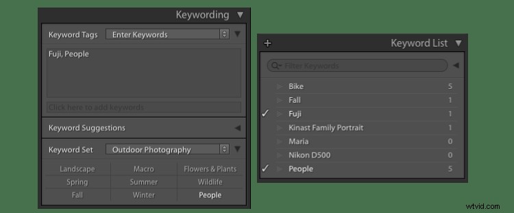 4 Expert Tips to Effortlessly Organize Photos in Lightroom