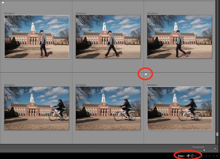 4 Expert Tips to Effortlessly Organize Photos in Lightroom