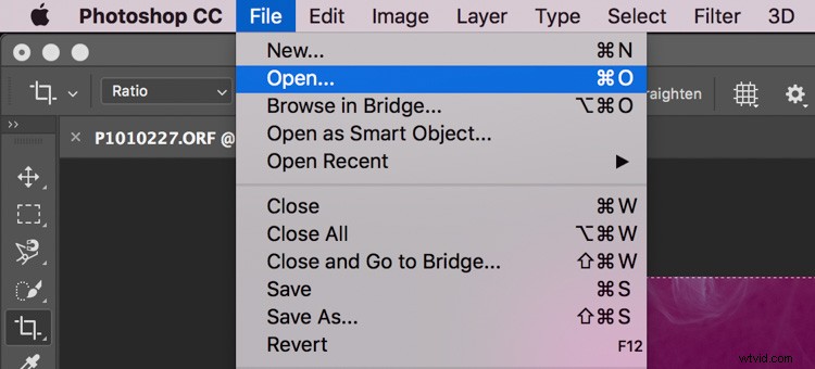 Create Custom Camera Raw Profiles for Lightroom & Photoshop: Step-by-Step Guide