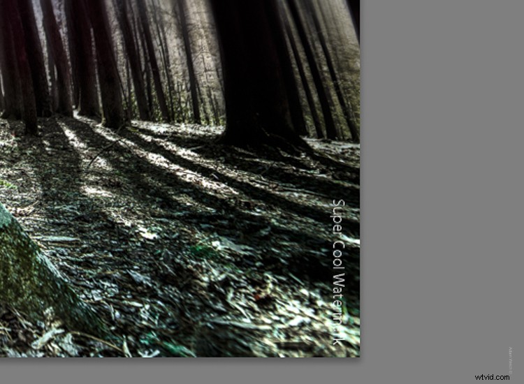 Effortlessly Watermark Your Photos in Lightroom: Simple Step-by-Step Guide