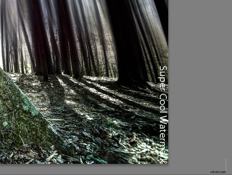 Effortlessly Watermark Your Photos in Lightroom: Simple Step-by-Step Guide