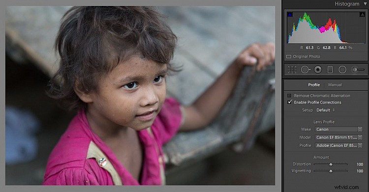 Lightroom Tutorial: How to Add or Remove Vignettes for Stunning Photos