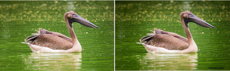 Lightroom Tutorial: How to Add or Remove Vignettes for Stunning Photos