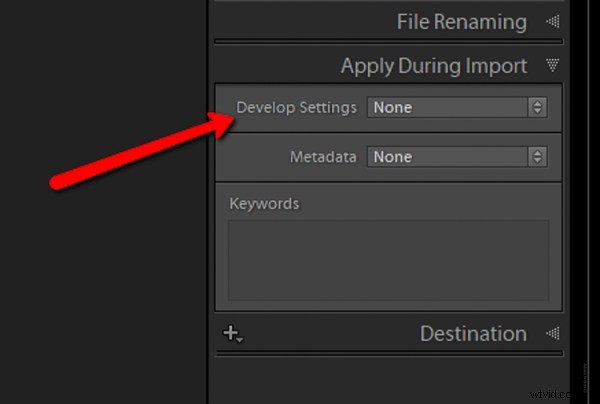 Master Lightroom Presets: Pro Tips for Stunning, Efficient Photo Edits