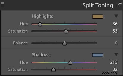 Revive Dull Images in Lightroom: Master Split Toning Techniques
