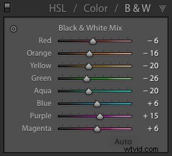 4 Expert Tips for Stunning Black & White Photos in Lightroom